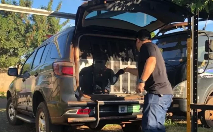 Homem é preso após tentar matar ex-mulher afogada em caixa d’água