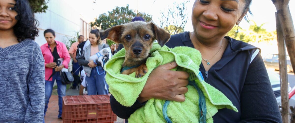 Prefeitura alerta para a necessidade de cuidados extras com os animais de estimação