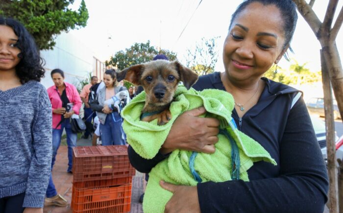 Prefeitura alerta para a necessidade de cuidados extras com os animais de estimação