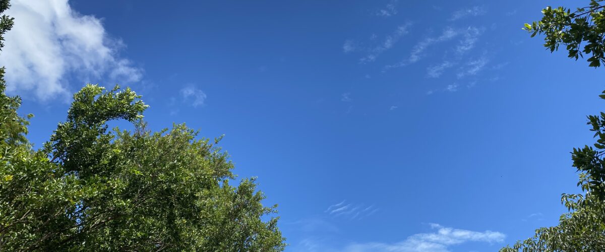 Segunda-feira segue com temperatura amena com máxima de 28°C