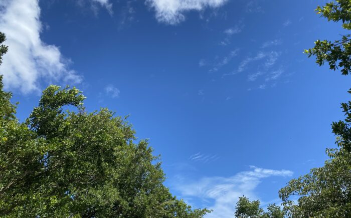 Segunda-feira segue com temperatura amena com máxima de 28°C