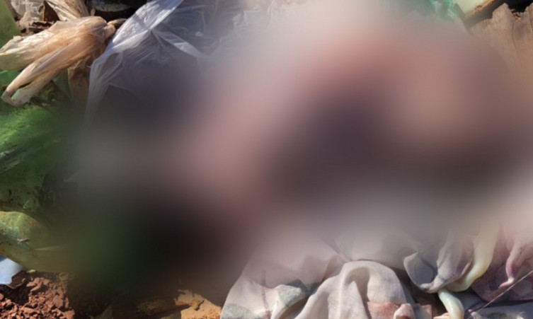 Bebê recém-nascido é encontrado morto dentro de mochila em terreno baldio