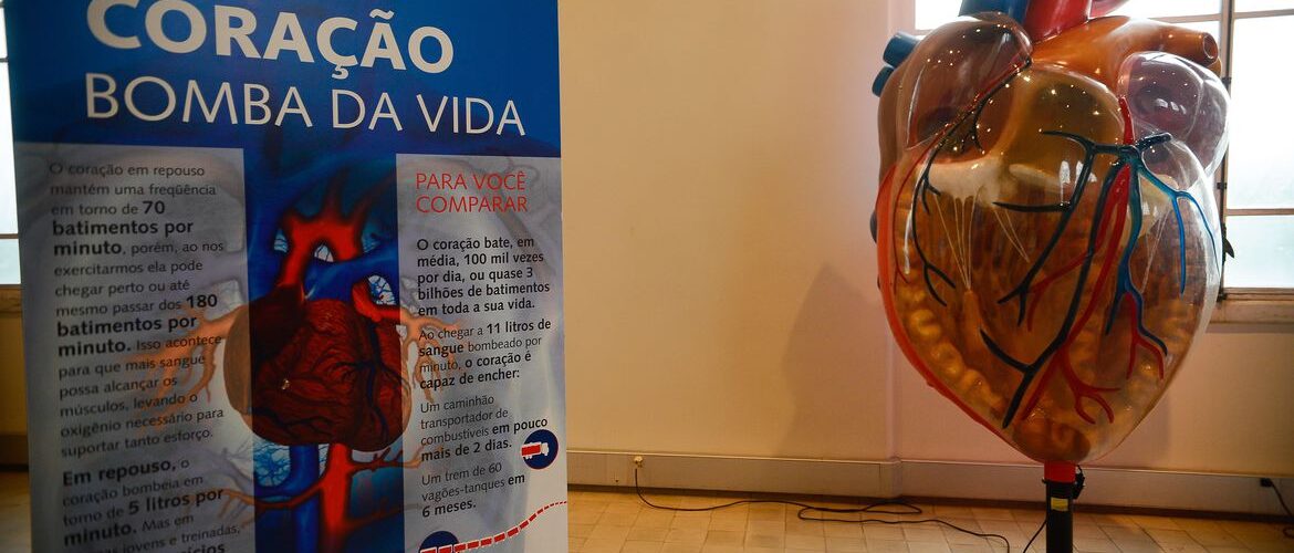 Internações por infarto aumentam mais de 150% no Brasil