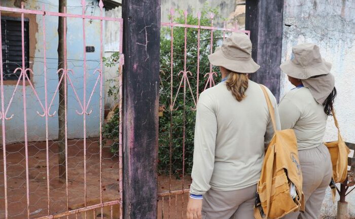 Capital tem redução de 80% em casos notificados de dengue