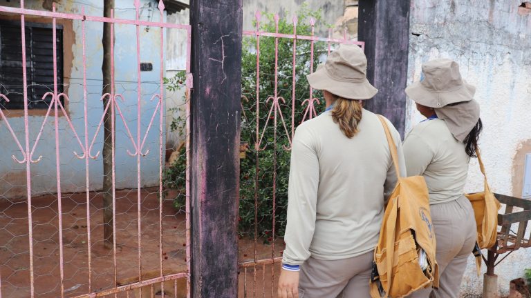 Capital tem redução de 80% em casos notificados de dengue