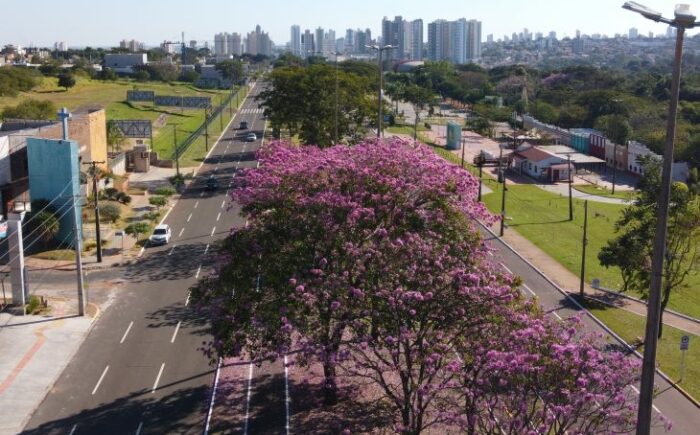 Semana começa sem frio e temperaturas estáveis em todo MS