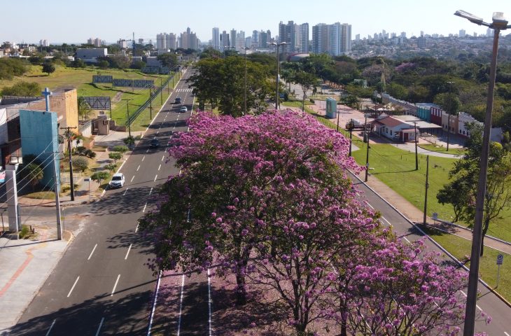 Semana começa sem frio e temperaturas estáveis em todo MS