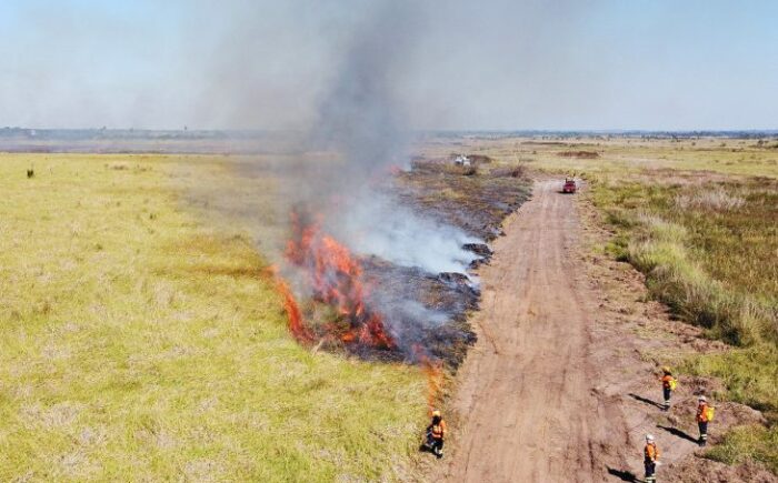 Tempo seco leva Estado a suspender queima controlada e decretar emergência ambiental até fim do ano