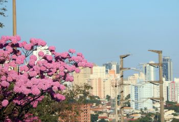 Previsão para esse domingo é de tempo estável e temperaturas elevadas podendo chegar a 32°C