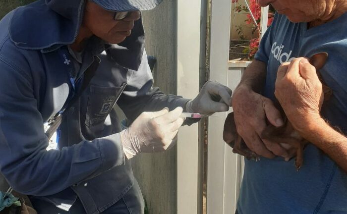 Dia mundial das Zoonoses: Saiba o que são e como evitá-las
