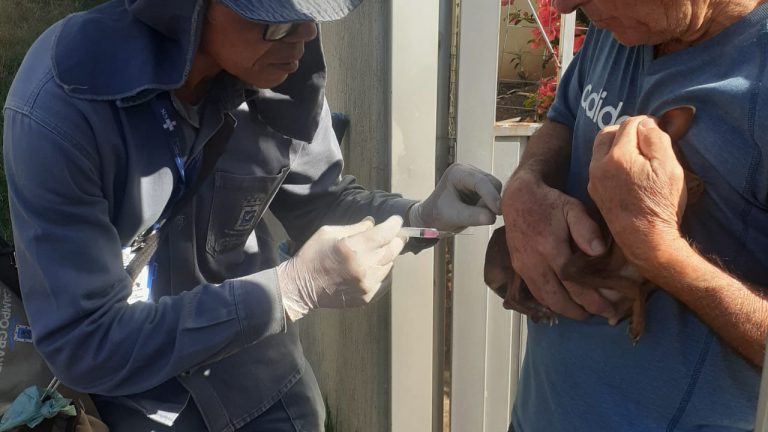 Dia mundial das Zoonoses: Saiba o que são e como evitá-las