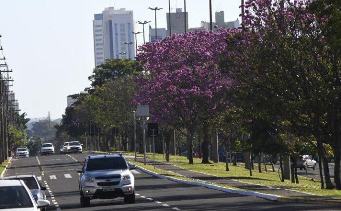Baixa umidade do ar continua nesta quinta-feira em MS e necessita de alguns cuidados especiais