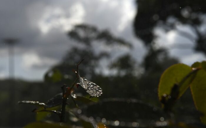 Previsão de chuvas para esta quarta-feira em grande parte do MS