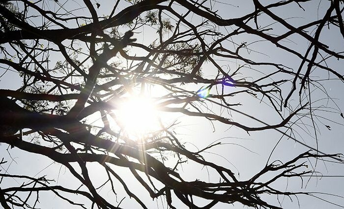 Sexta-feira será de continuidade do ar seco e sol forte em grande parte do MS