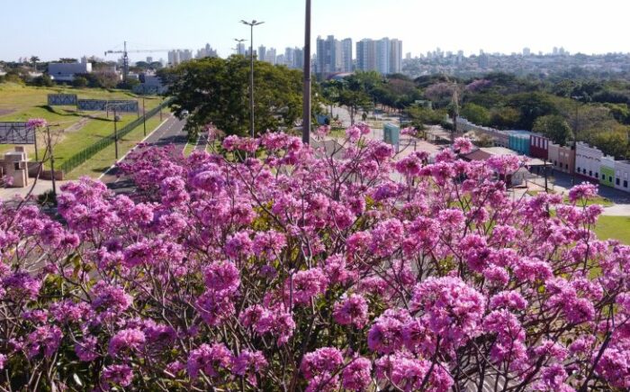 Últimos dias de setembro será de altas temperaturas e possíveis chuvas em MS