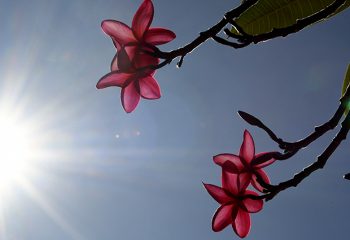 Previsão de altas temperaturas nesta terça-feira em Mato Grosso do Sul