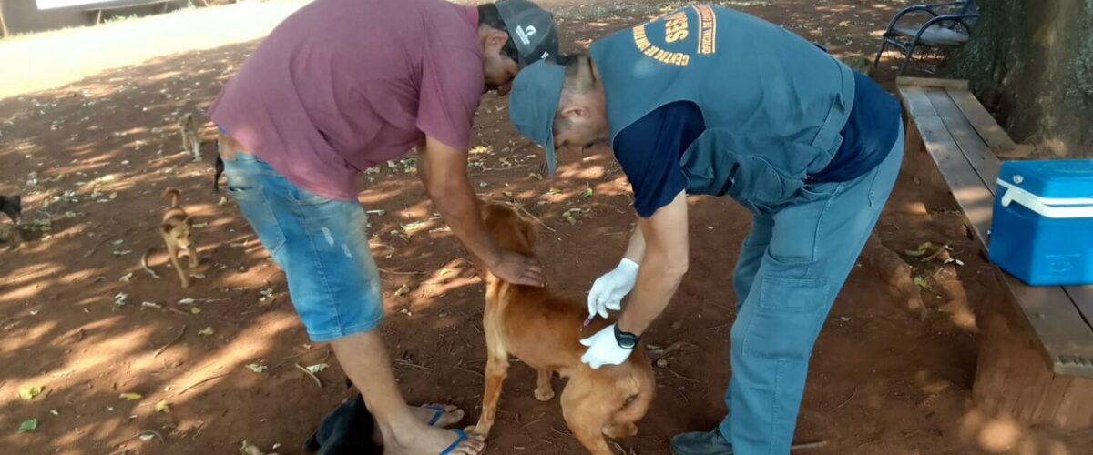 Equipes do CCZ fazem campanha de vacinação contra a Raiva em cães e gatos da Zona Rural