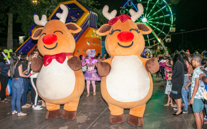 Campo-grandenses podem escolher o nome do bebê Reninha após chá revelação na Vila Morena neste sábado