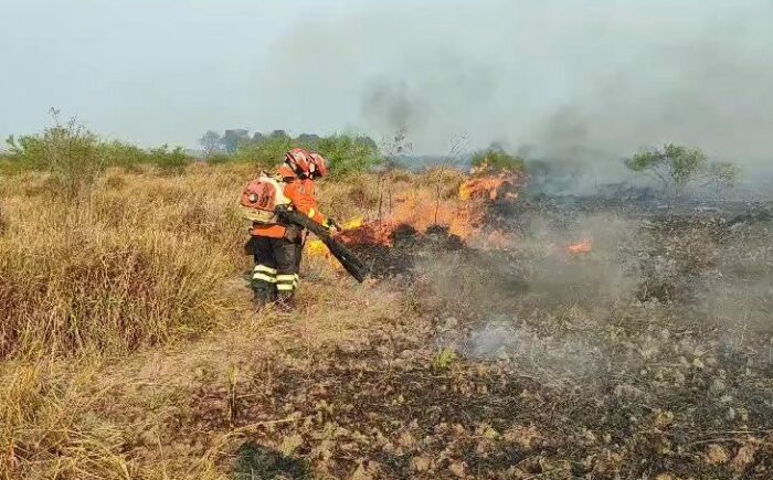 Bombeiros combatem incêndios há quatro dias no Pantanal