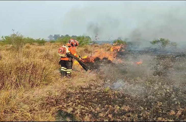 Bombeiros combatem incêndios há quatro dias no Pantanal