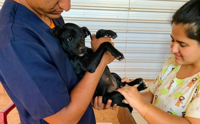 Subsecretaria do Bem-Estar Animal realiza atendimento itinerante para o bairro Estrela Dalva neste sábado