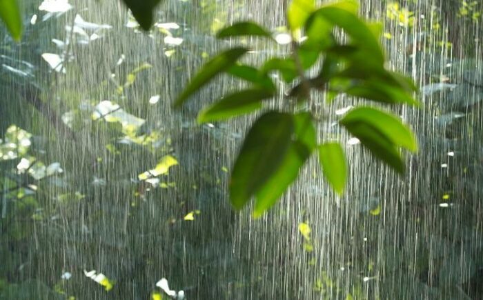 Feriado de Dia dos Finados pode ser chuvoso e tempo permanece instável em Mato Grosso do Sul