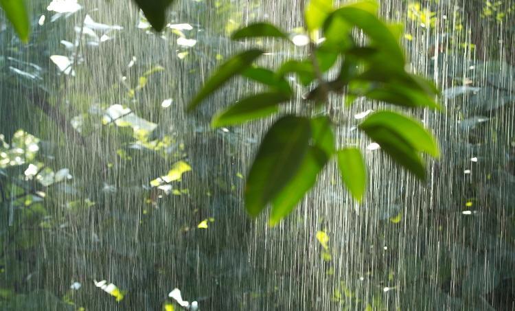 Feriado de Dia dos Finados pode ser chuvoso e tempo permanece instável em Mato Grosso do Sul