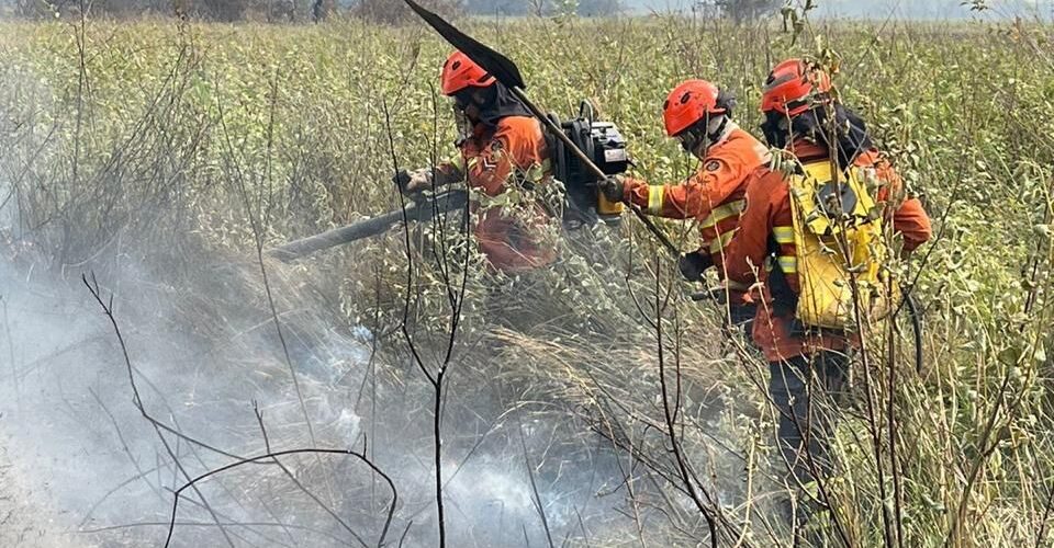 Após chuvas, incêndios são controlados no Pantanal e equipes continuam monitorando a região