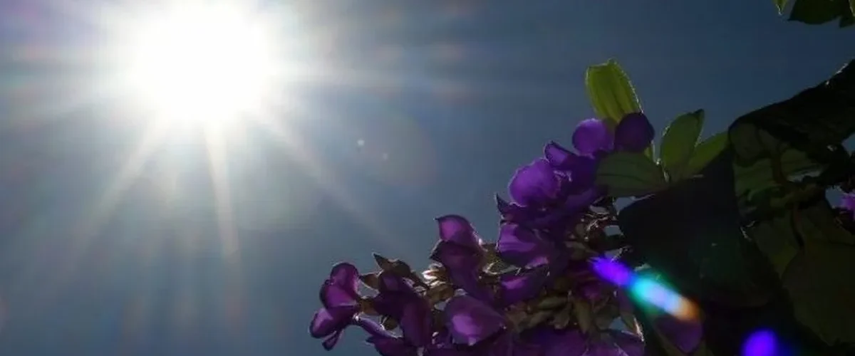 Terça-feira tem previsão de sol, mas chuvas não são descartadas em MS
