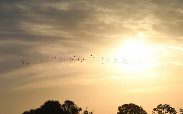 Sexta-feira tem previsão de sol, mas chuvas não são descartadas em MS