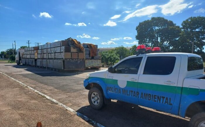 Operação da PMA capturou 89 animais e abordou mais de 420 pessoas em MS