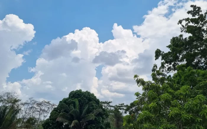 Sexta-feira será de tempo quente em todo Mato Grosso do Sul