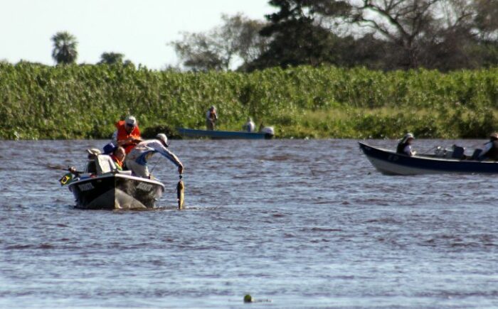 Modalidade ‘pesque e solte’ está liberada nos rios de MS a partir desta quinta-feira