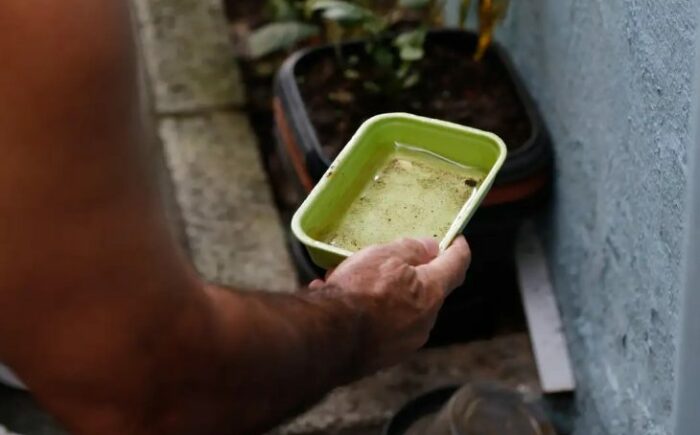 Dicas simples podem livrar sua casa dos focos da dengue e se prevenir contra doença
