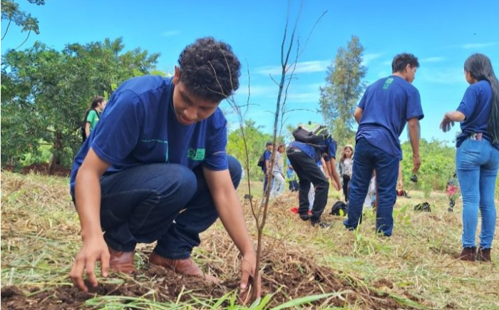 Projeto com estudantes de escola indígena realiza restauração de vegetação em Dourados