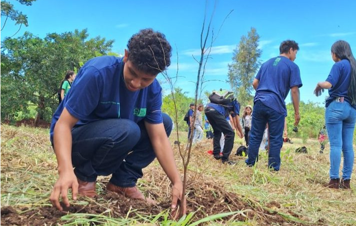 Projeto com estudantes de escola indígena realiza restauração de vegetação em Dourados