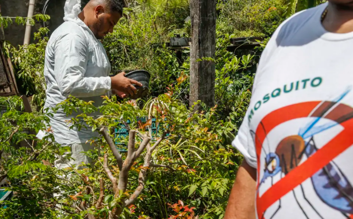 Brasil registra mais de 2 milhões de casos de dengue