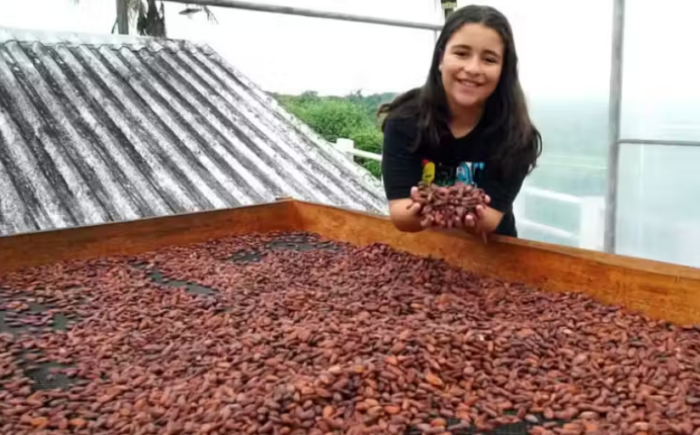 Menina brasileira de 11 anos cria fábrica de chocolate com cacau produzido pela família