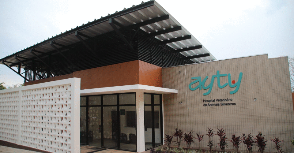 Mais de 2 mil animais silvestres já foram atendidos no Hospital Veterinário do CRAS