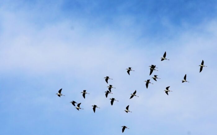 Sexta-feira tem previsão de tempo instável em quase todo Mato Grosso do Sul