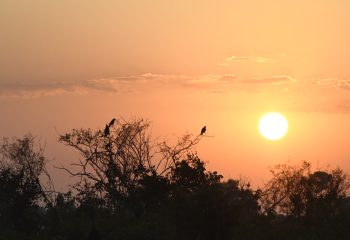 Previsão de tempo instável nesta quarta-feira em MS