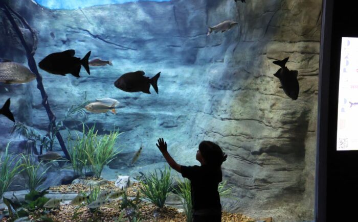 Bioparque abre inscrições para Jornada de Pesquisa e Tecnologias