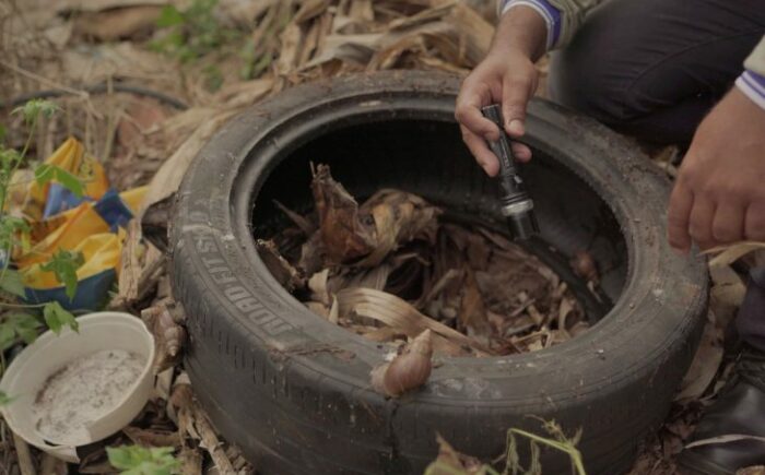 Mato Grosso do Sul registra mais de 15 mil casos confirmados de dengue