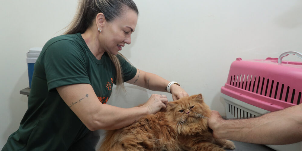 Consultório Móvel da Prefeitura de Campo Grande leva atendimento veterinário a bairros em dezembro