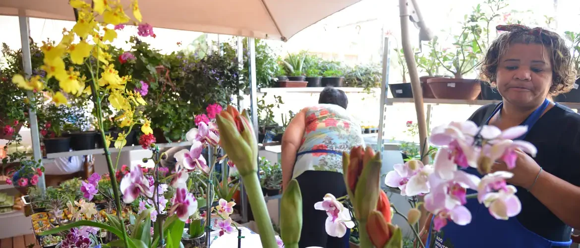 Desenrola para MEI e micro e pequenas empresas começa nesta segunda-feira