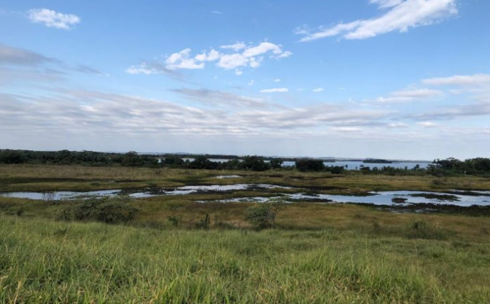 Workshop da UEMS discute o enfrentamento climático com captura de carbono em reserva no sul do Estado