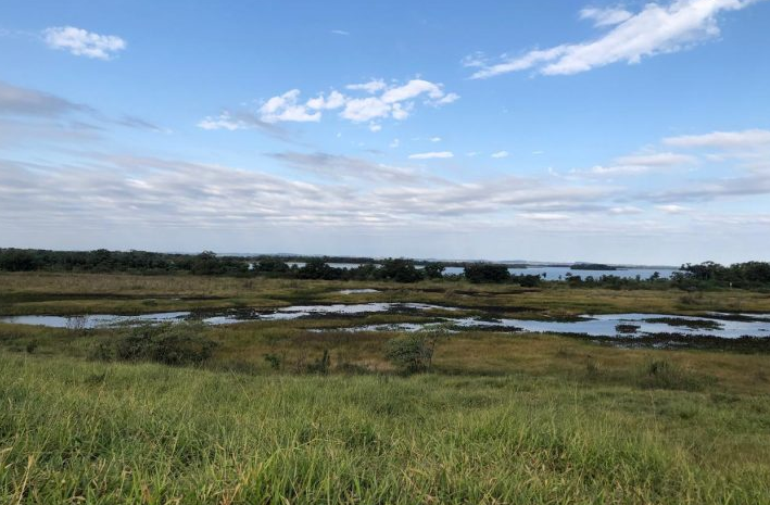 Workshop da UEMS discute o enfrentamento climático com captura de carbono em reserva no sul do Estado