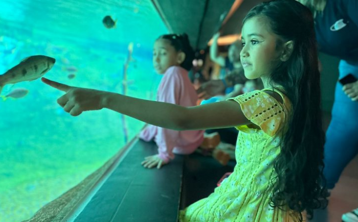 Em horário especial, Bioparque Pantanal estará de portas abertas no feriado de Corpus Christi