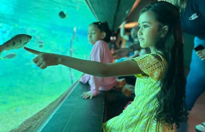 Em horário especial, Bioparque Pantanal estará de portas abertas no feriado de Corpus Christi