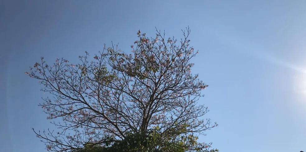 Temperaturas voltam a subir e fim de semana tem previsão de sol e tempo estável